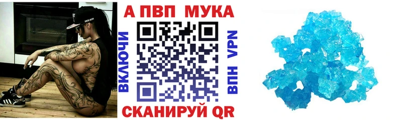 мега ссылки Шацк Alpha PVP СК магазин