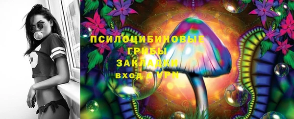 метадон Армянск